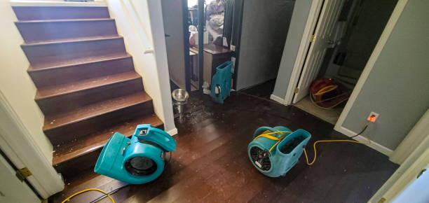 Best Professional water damage repair  in Cuero, TX