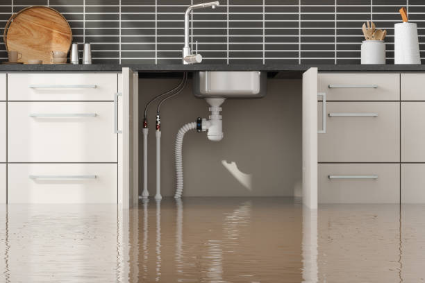 Best Local water damage restoration  in Cuero, TX