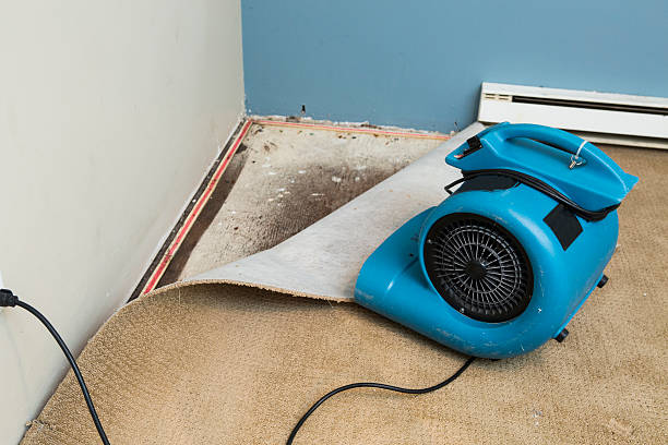 Best Carpet water damage restoration  in Cuero, TX